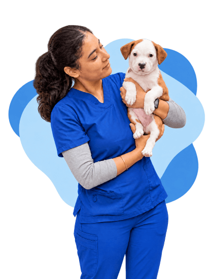 South Fraser Animal Hospital